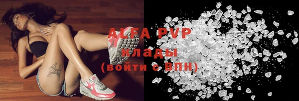шишки Арсеньев
