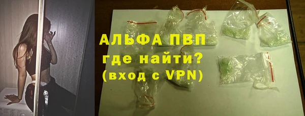 шишки Арсеньев