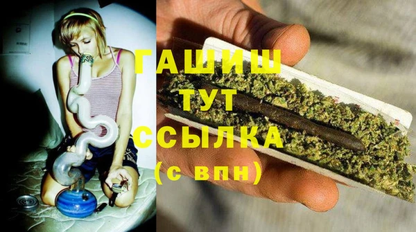 шишки Арсеньев