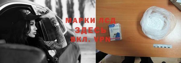 шишки Арсеньев