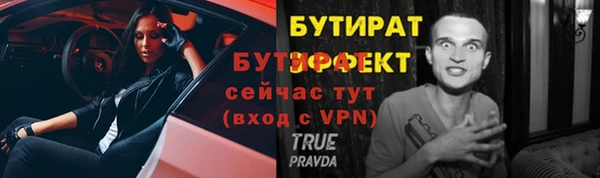 шишки Арсеньев