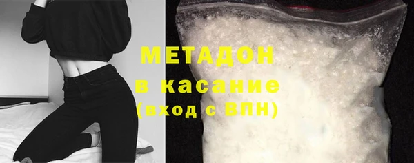 шишки Арсеньев