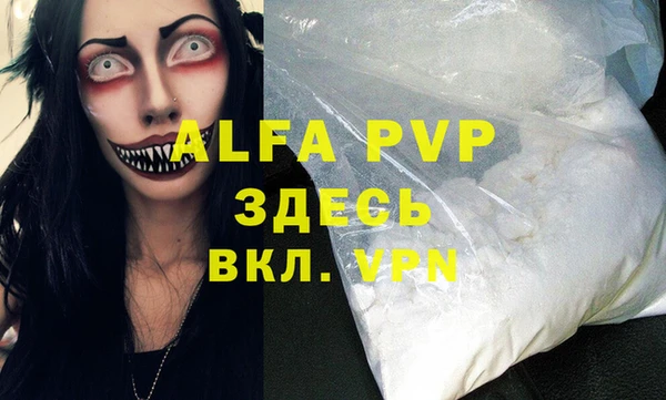 шишки Арсеньев