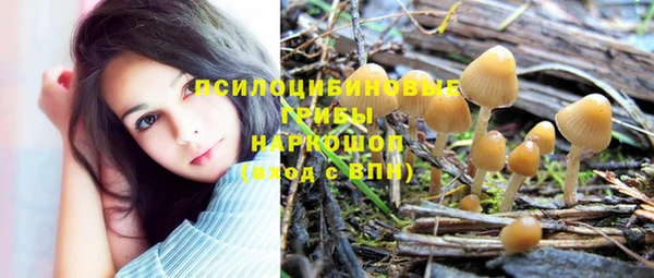 спайс Армянск